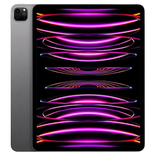 Apple iPad Pro 4th gen 11-inch M2 Wi-Fi in Space Gray, featuring the front display and sleek dark gray back with dual rear cameras