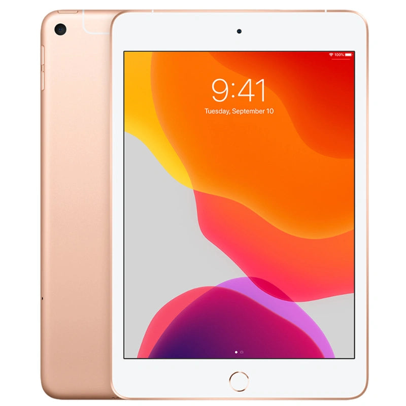 Gold iPad mini 5 highlighting its colorful screen, complemented by a luxurious gold back and a rear camera