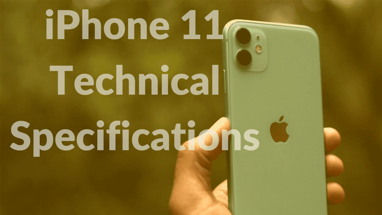 iPhone 11 Screen Size & Technical Specifications – A Budget Friendly Phone