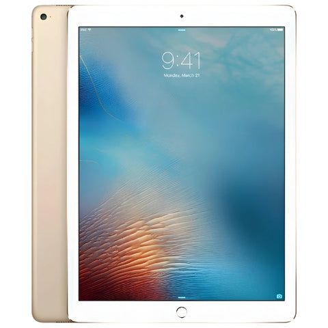 iPad Pro 12.9 inch Cellular